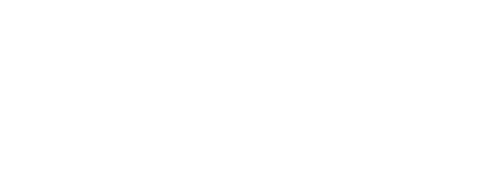 LS Motors Ltd